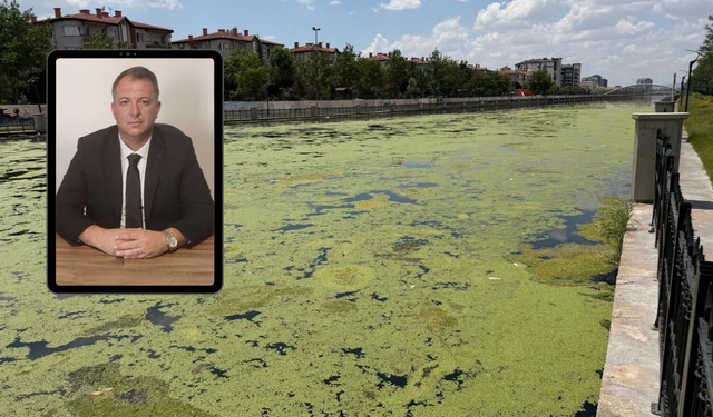 DEVA Partisi’nden Akarçay tepkisi: "Bu yeşil tablo Afyonkarahisar’a yakışmıyor!"