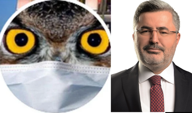 AK Partili Ali Özkaya’dan "Ankara Kuşu" Oktay Yaşar’a hukuk şoku! İstinaf beraat kararını bozdu...