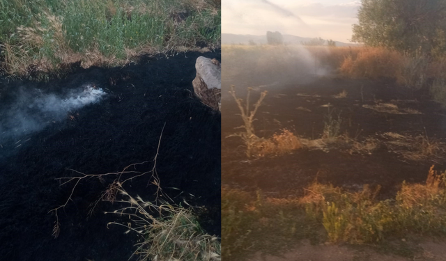 Afyon'da Korkutan Anız Yangını: Ormana ve Ekili Arazilere Sıçramadan Son Anda Söndürüldü!