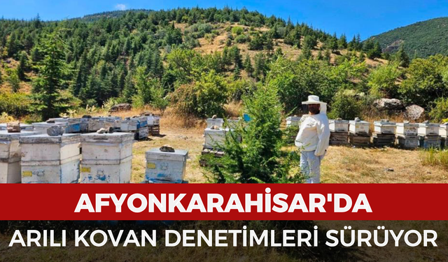 Afyonkarahisar'da arılı kovan denetimleri sürüyor