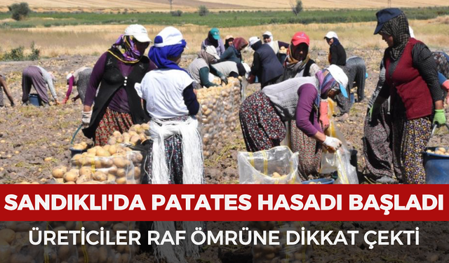 Sandıklı'da patates hasadı başladı: Üreticiler raf ömrüne dikkat çekti