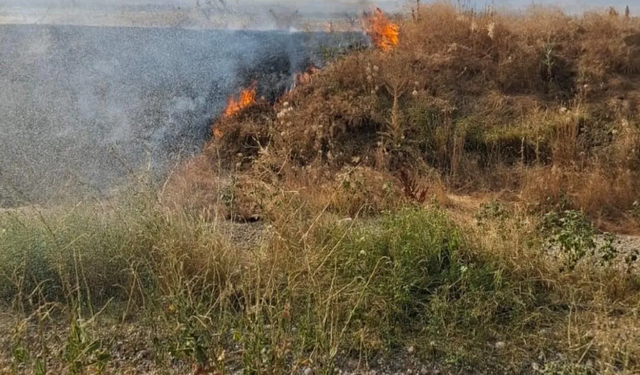 Şuhut'ta korkutan yangın! Alevler büyümeden söndürüldü