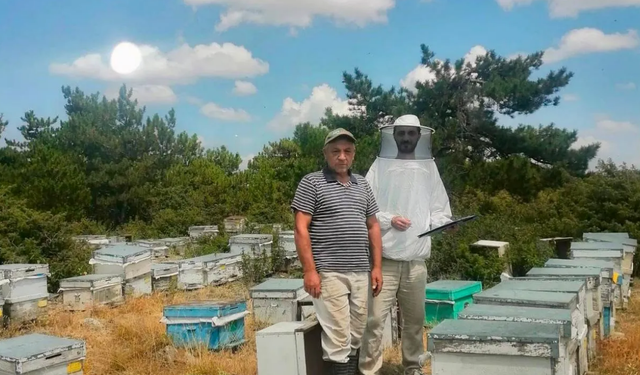 İscehisar’da arıcılık için sahaya çıkıldı: Arılı kovanlar tek tek tespit edildi