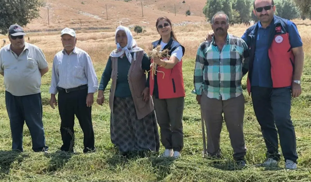 İscehisar’da sarımsak hasadı öncesi kritik kontrol! Hastalık ve zararlılar kontrol edildi