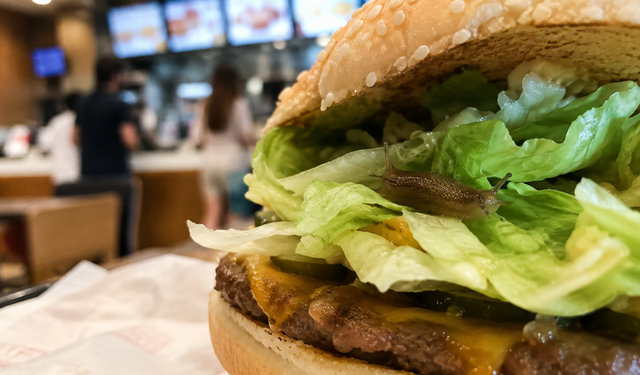 Hamburgerini açınca gözlerine inanamadı! İçinden sümüklü böcek çıktı