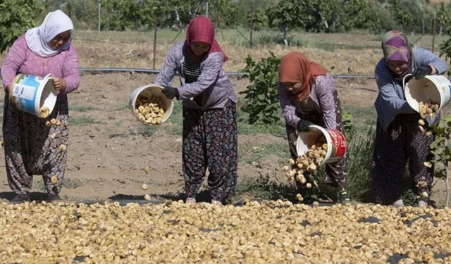 Bu işi yapacak çalışanlar aranıyor: Maaş 110 bin TL!
