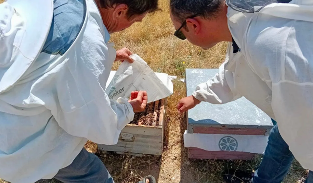 Afyonkarahisar’da arılı kovanlar tek tek kontrol ediliyor