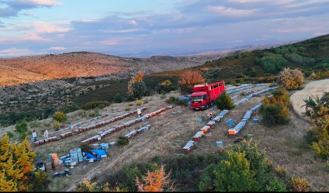 Afyonlu Çekmez ailesinin örnek göç yolculuğu: 300 kovanla yollara düşüyorlar
