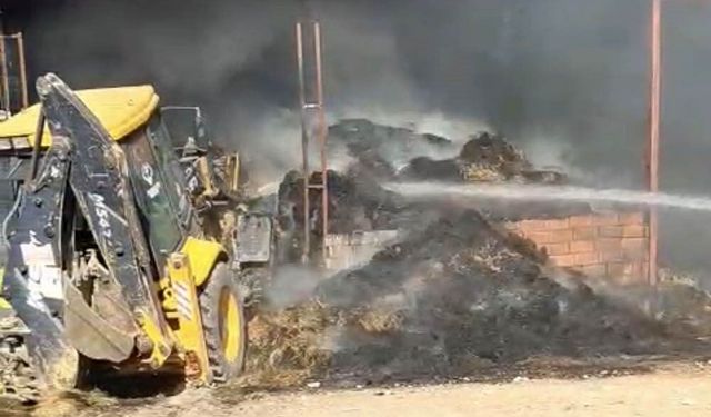 Alevler Çiftliği Sardı! Saman Balyaları Tutuştu, 25 Hayvan Telef Oldu