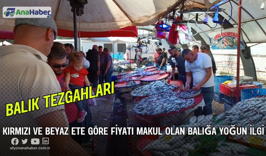 Fiyatı Makul Olan Balığa Yoğun İlgi