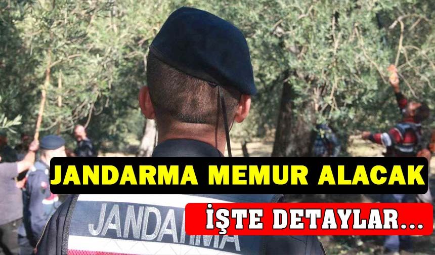 Jandarma Genel Komutanlığı 15 devlet memuru alacak