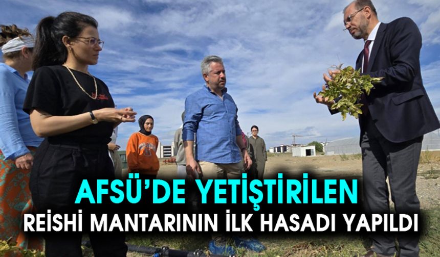 AFSÜ’DE YETİŞTİRİLEN REİSHİ MANTARININ İLK HASADI YAPILDI