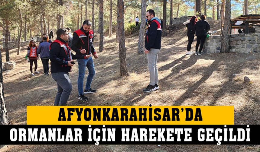 Afyonkarahisar’da ormanlar temizlendi