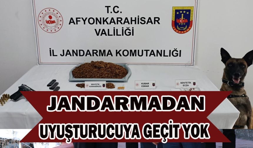 Jandarmadan uyuşturucu baskını