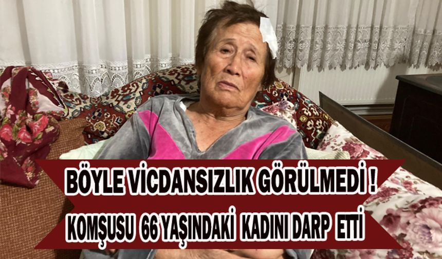 66 yaşındaki kadını sopa ve bisiklet ile acımasızca darp etti