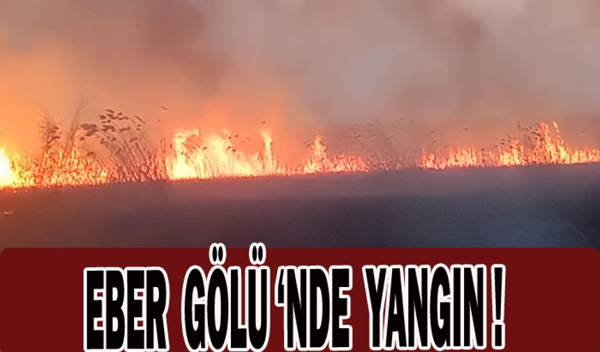 Eber Gölü’nde yangın