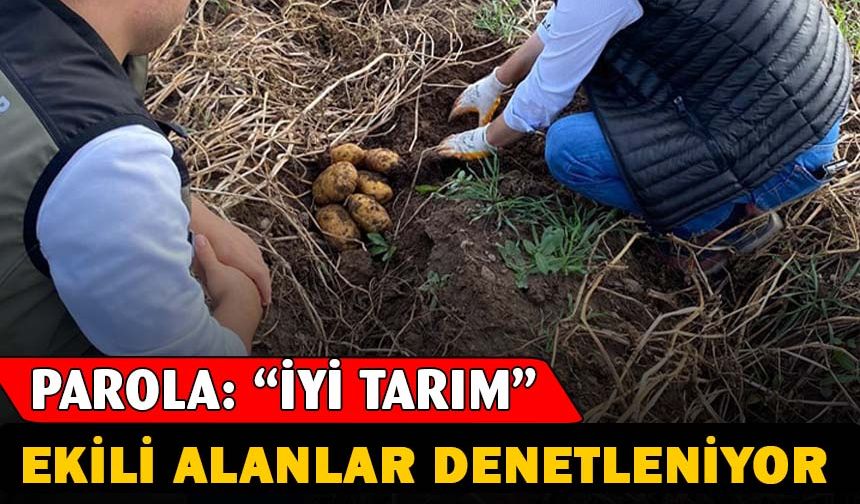 Afyonkarahisar'da tarımsal faaliyetler denetleniyor