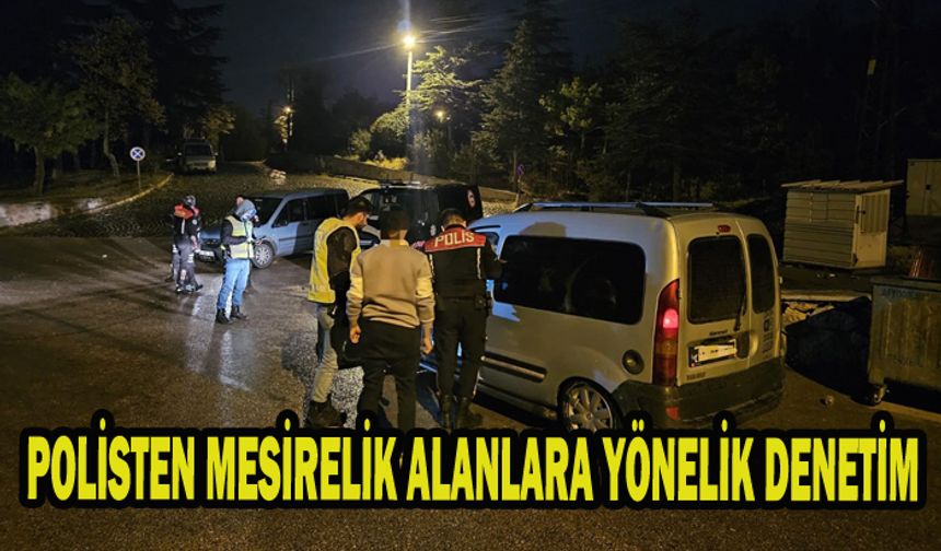 POLİSTEN MESİRELİK ALANLARA YÖNELİK DENETİM