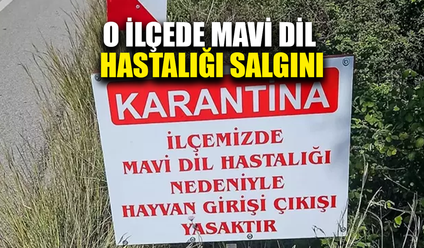 O ilçede hayvan giriş-çıkışı kapatıldı
