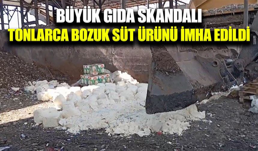 Gıda teröristleri tonlarca bozuk peyniri vatandaşa yedirecekti