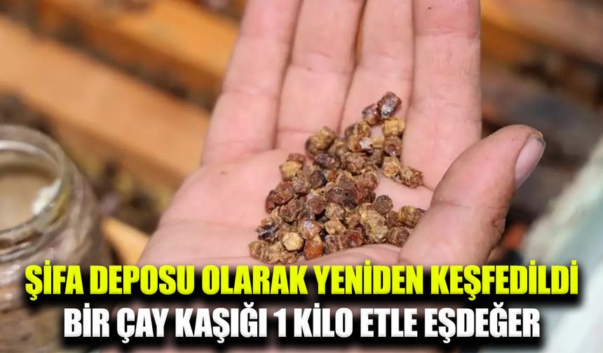 Geçmişte çöpe gidiyordu, şimdi kg fiyatı dudak uçuklatıyor