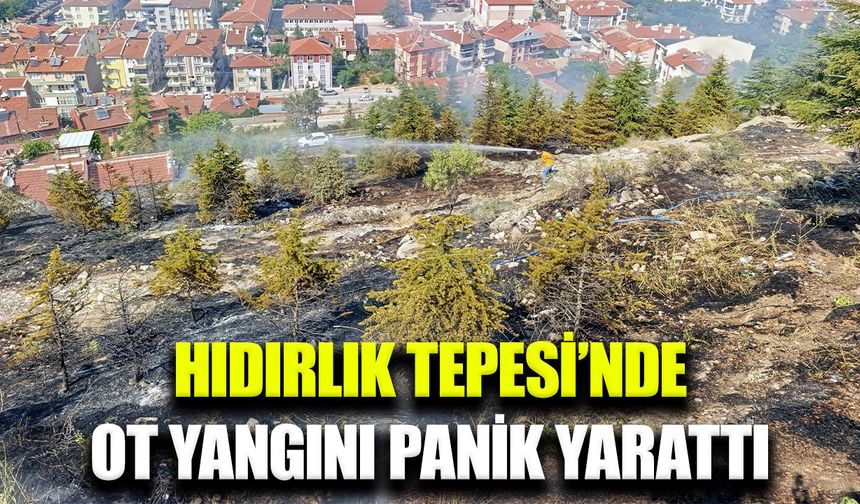 Afyonkarahisar'da ormanlık alanda yangın paniği yaşandı