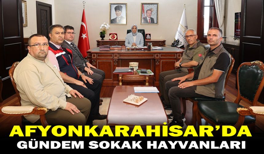 AFYONKARAHİSAR'DA SOKAK HAYVANLARIYLA İLGİLİ DEĞERLENDİRME TOPLANTISI GERÇEKLEŞTİRİLDİ