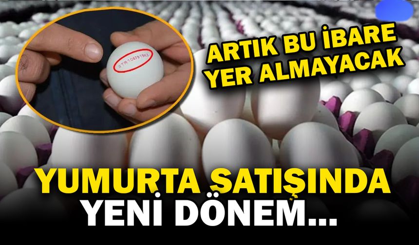 Yumurta Satışında Yeni Dönem