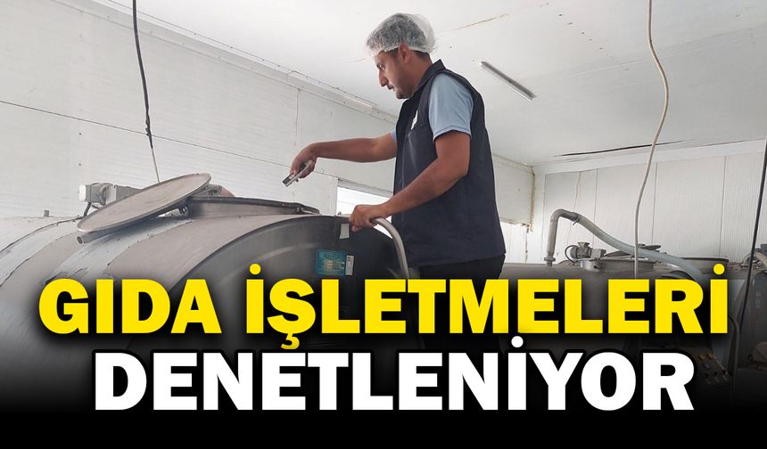 Gıda işletmelerine yönelik denetim