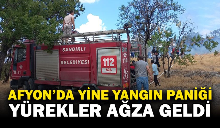 Sandıklı'da çıkan ot yangını paniğe neden oldu