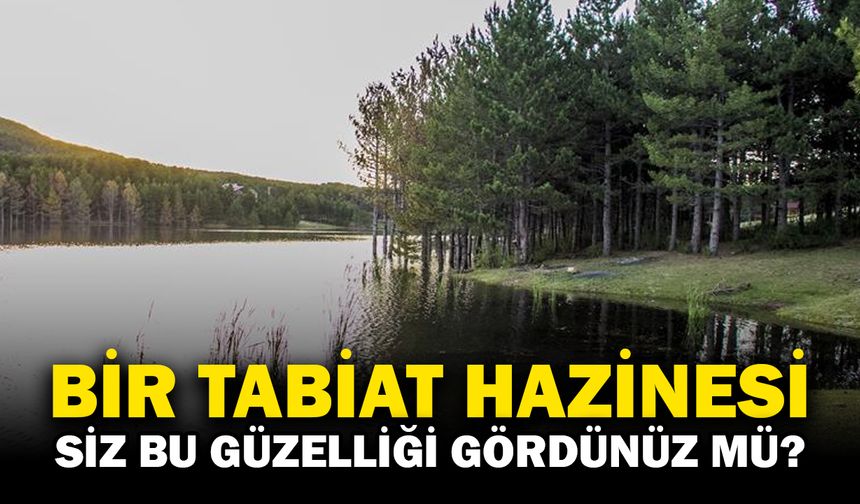 Bir doğa hazinesi: Akdağ Tabiat Parkı