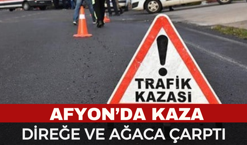 Otomobil aydınlatma direği ve ağaca çarptı