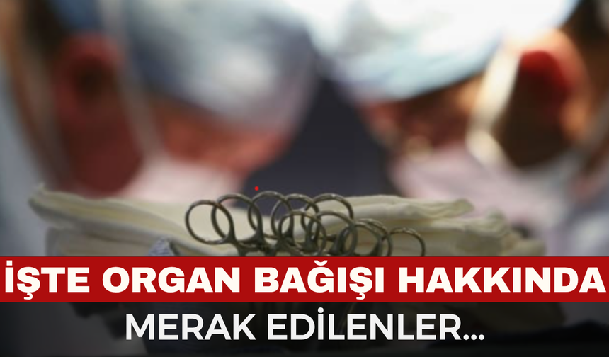 Organ Bağışı Hakkında Merak Edilenler