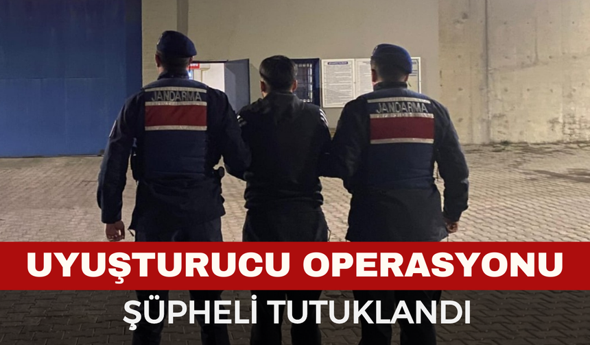 Sinanpaşa’da Operasyon! Binlerce Yasaklı Madde Ele Geçirildi