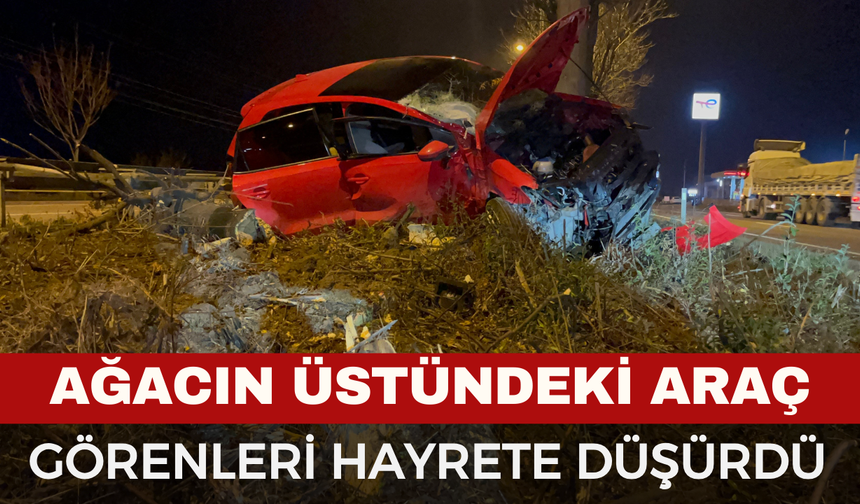 Kontrolden çıkan araç ağacın üzerine çıktı: 1 ağır yaralı