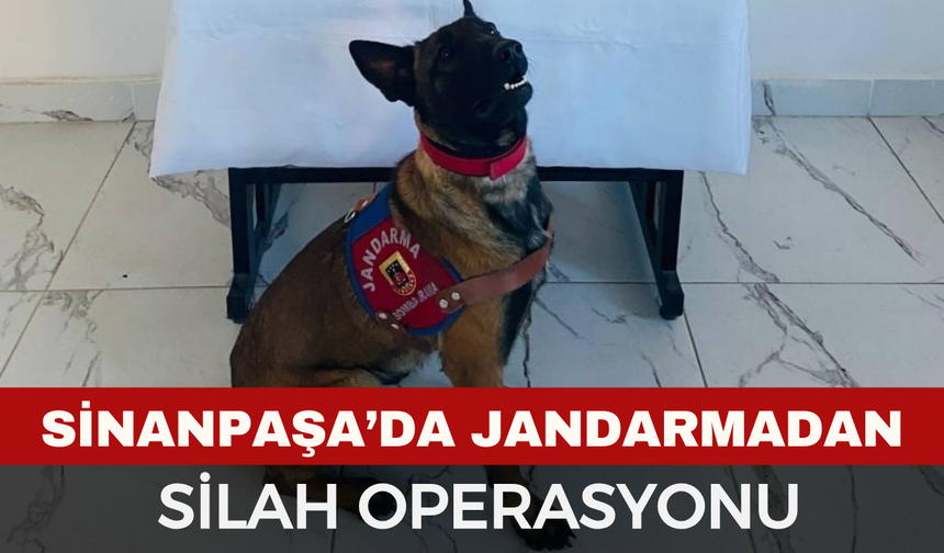 Sinanpaşa’da Jandarmadan Silah Operasyonu