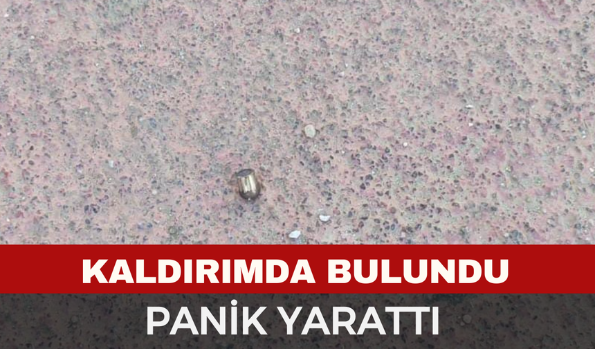 Afyon'da Kaldırımda Bulundu, Büyük Tehlike Atlatıldı