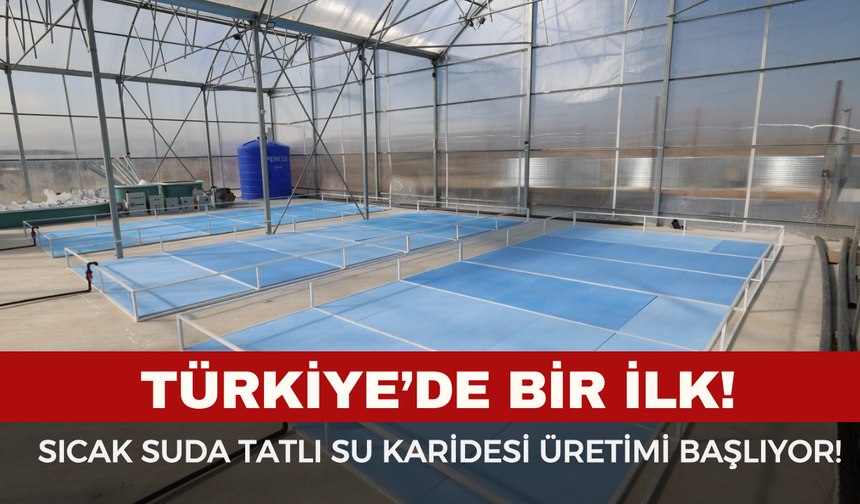 Türkiye’de Bir İlk! "Afyon’un Termal Suları Bu Kez Karides ve Balık İçin Isınıyor"