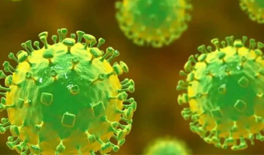 Nipah Virüsü İçin Türk Uzmandan Kritik Uyarı: Ölüm oranı Yüzde 75