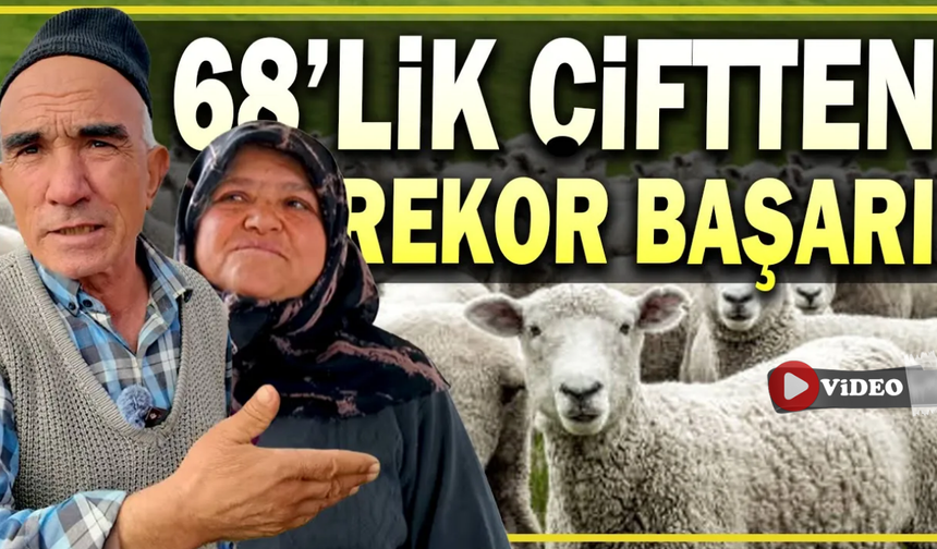Bir Koyunla Başladı, 250 Koyunluk Sürüye Ulaştı: Kadir Bayram’ın Hayat Hikayesi