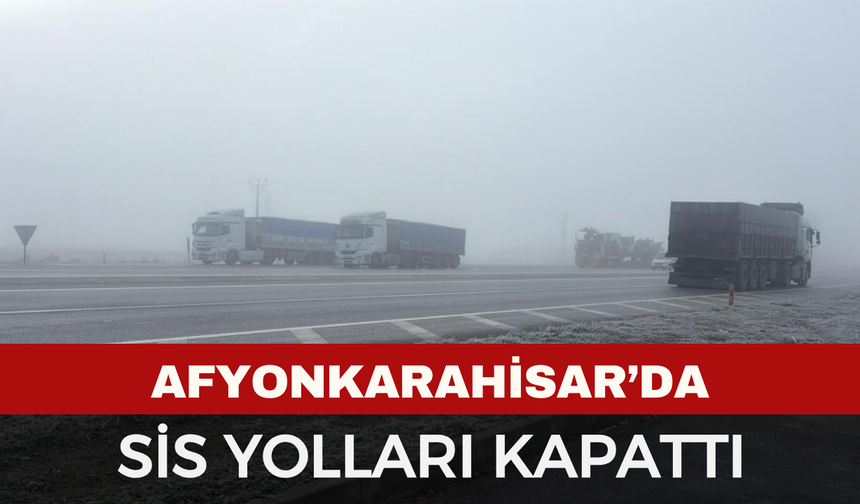 Afyonkarahisar'da sis yolları kapattı