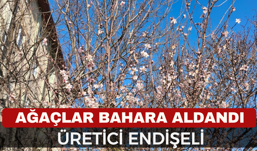 Afyon'da ağaçlar yalancı bahara aldanıp çiçek açtı, üretici don tehditi karşısında endişeli