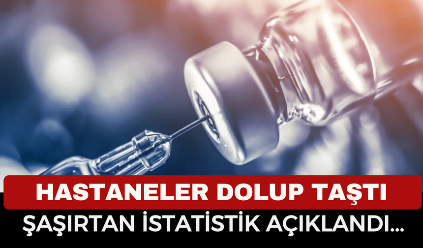 O İlde Kuduz Paniği Yaşanıyor: 123 Bin Başvuru, Liste Başında Kediler ve Kadıköy Var! Kuduz Aşısı Korur Mu?