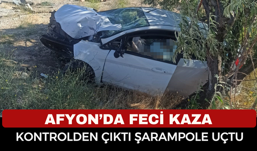 Afyonkarahisar’da Feci Kaza: Şarampole Devrilen Otomobilde 2 Kişi Yaralandı