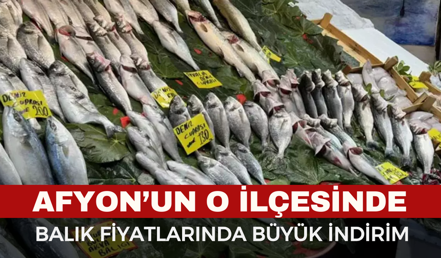 Afyon'da Balık Fiyatlarında Büyük Kampanya, 50 TL'ye Balık Satılacak