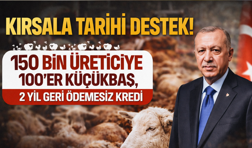 Küçükbaş Üreticilerine Dev Destek: 150 Bin Üreticiye Yeni Proje