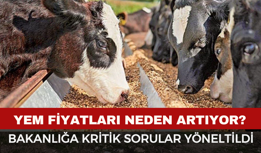 Yem Fiyatlarındaki Artış Meclis Gündeminde: Hayvancılıkta Alarm Zilleri Çalıyor