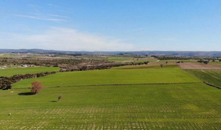 Afyon’da iki arsa icradan satışa çıktı: Bu rakamı ilk getiren alabilecek