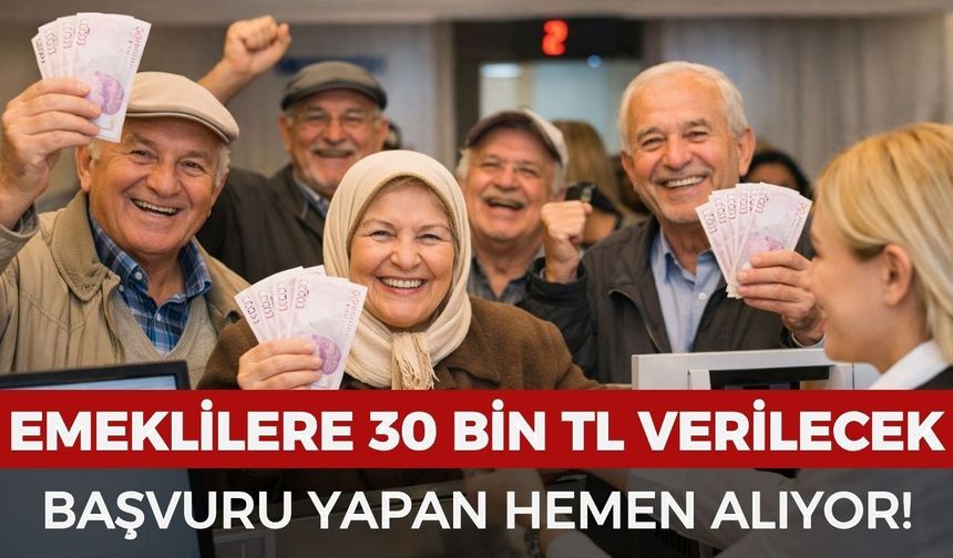 Emeklilere 30 bin TL verilecek: Başvuru yapan hemen alıyor