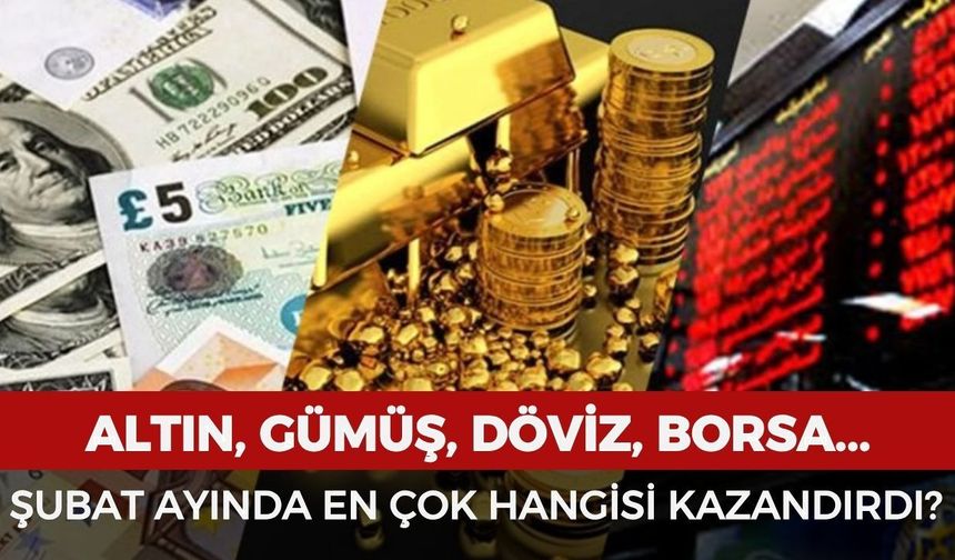Şubat ayında en çok hangi yatırım kazandırdı?